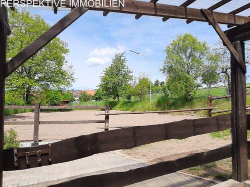 Reitplatz 3 (Blick vom Putzplatz) - Mehrfamilienhaus, Wohnhaus mit 230,00 m&sup2; in Michelstadt zum Kaufen
