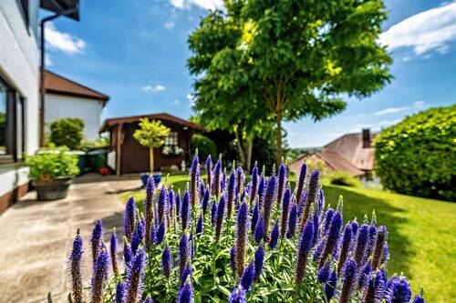 Garten - 
