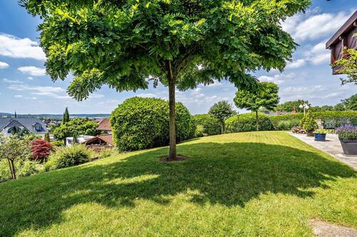 Wiese vor dem Haus - 