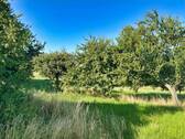 Obstwiese - 