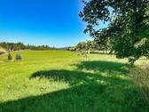 Wiese hinterm Hof mit Blick zum Wald - 
