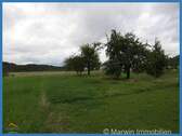 Grundstück / Wiese - 