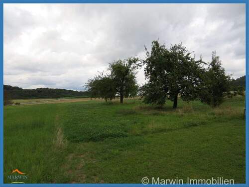 Grundstück / Wiese - 