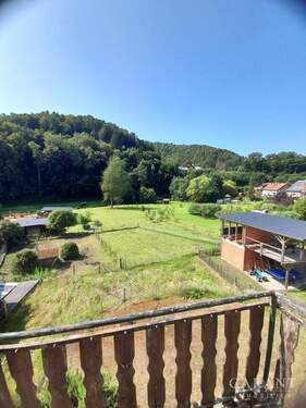 Blick vom Balkon - Mehrfamilienhaus, Wohnhaus mit 180,00 m² in Schönau (Pfalz) zum Kaufen