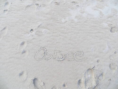 Hier könnten Sie bald sein :-) - 1 Zimmer Einfamilienhaus zum Kaufen in Graal-Müritz