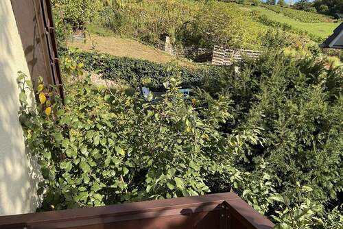 DG Blick vom Balkon - 