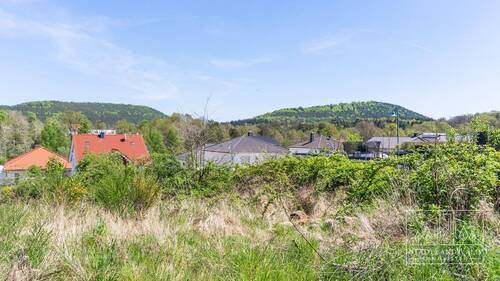 Blick auf den Bauplatz_BP_Ruppertsweiler_Am Ruppertstein 10 - 