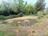 Weiher 1 - 