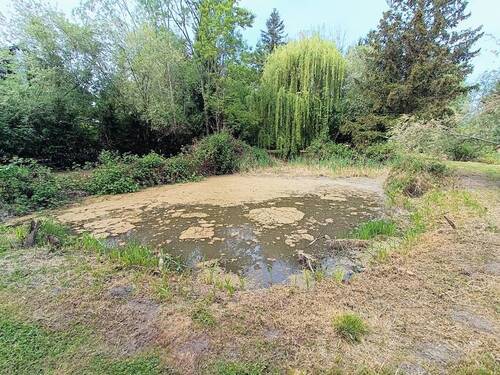 Weiher 1 - 