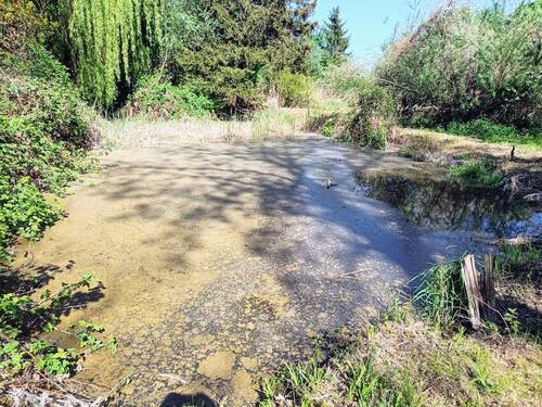 Weiher 1 - 