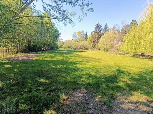 Wiese - 