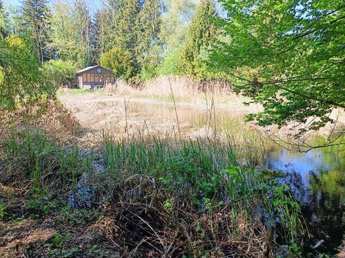 Weiher 2 - 