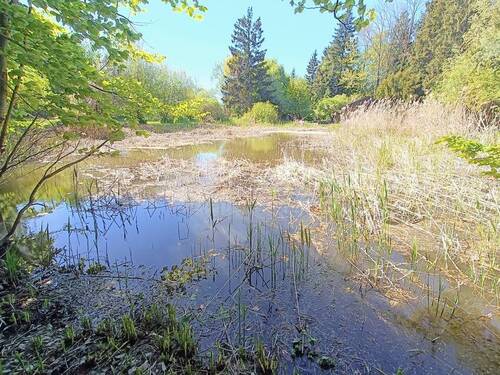 Weiher 2 - 