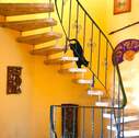 Treppe - 