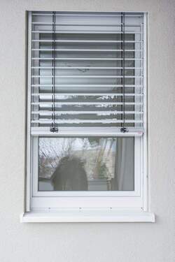 KirschStr116_Jalousien_001.jpg - 