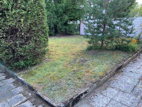 Garten mit Bäumen - 