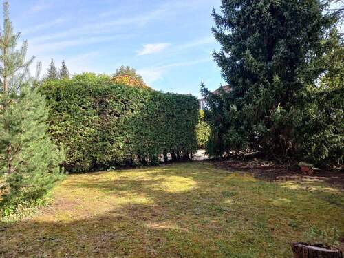 Großes Grundstück - 