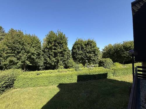 Blick in den Garten - 