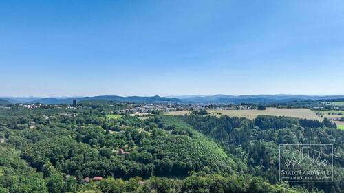 Umgebung - Pfälzerwald - 