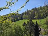 Ausblick - 