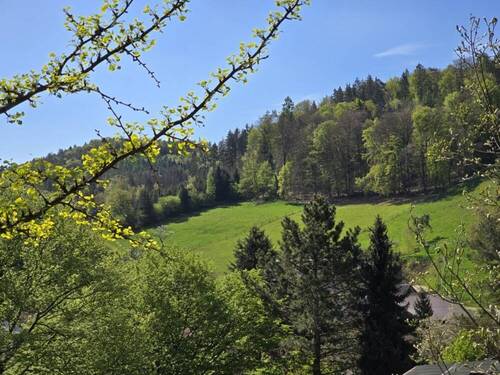 Ausblick - 