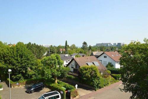 Blick aus dem Küchenfenster - 