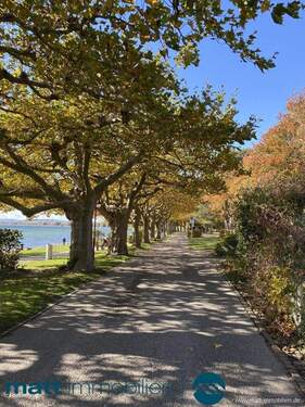 Herbststimmung am See - 