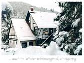 WinterTraum - 