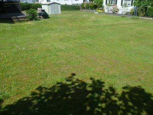 Blick zur Straße - Grundstück zum Kaufen in Spiesen-Elversberg