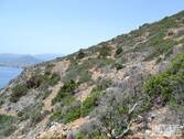 Aussicht - 
