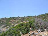 Aussicht - 