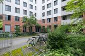Bild 12 - 