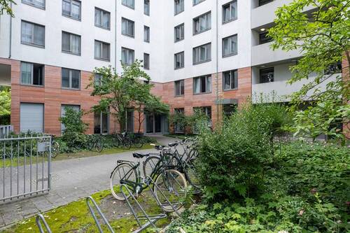 Bild 12 - 