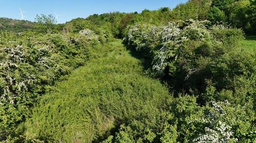 DJI_20250509175940_0029_D.JPG - Streuobstwiese mit Teich - 20.000,00&nbsp;EUR Kaufpreis, ca.&nbsp; 0,00&nbsp;m&sup2;