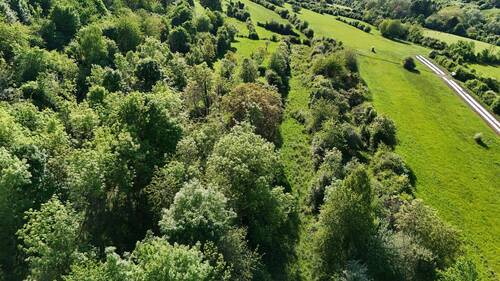 DJI_20250509180128_0031_D.JPG - Grundstück in Merzig zum Kaufen