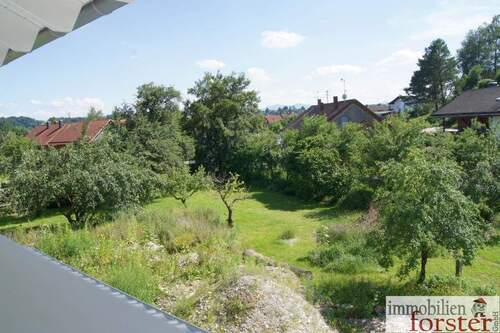 Blick aus dem Wohnzimmer - 