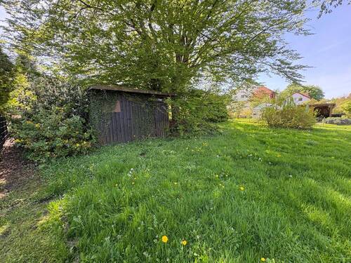 Schuppen - Grundstück in Horn-Bad Meinberg zum Kaufen