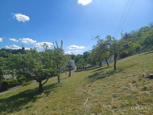 20250512 154539 - 6 Zimmer Bauernhaus, Landhaus zum Kaufen in Nünschweiler
