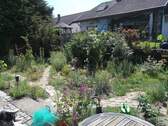 Garten mit Teich - 