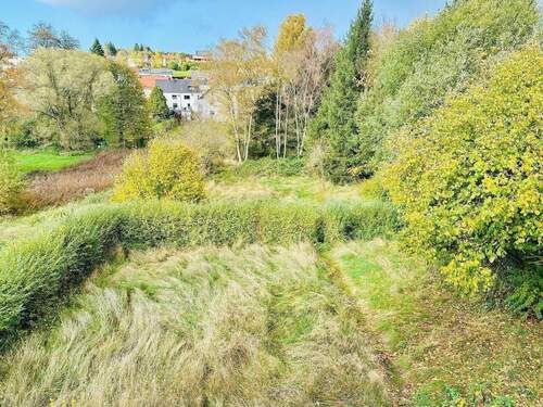 Mit riesigem Grundstück - 