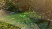 unterer Garten - 