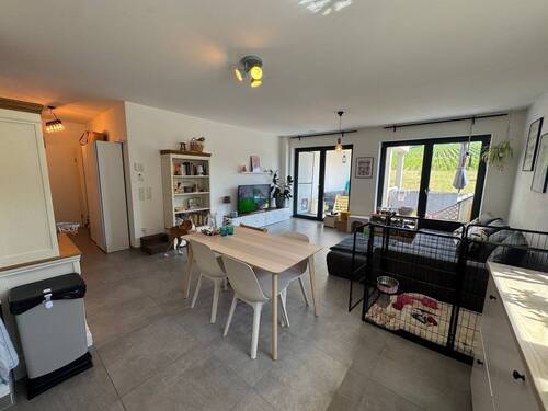 tempImageoazDkF.jpg - 