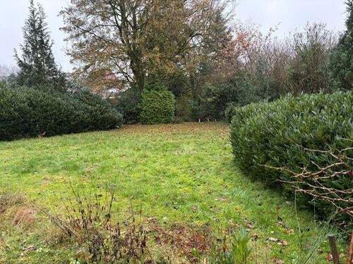 PHOTO-2025-12-01-08-59-00 (3) - 