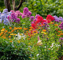 FröndenbergRuhr: Kein Bauland - Reine Nutzfläche für Sie oder Ihre Tiere! - Fröndenberg-Mitte