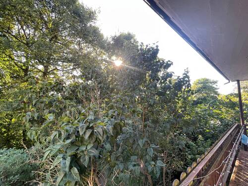 EG. Aussicht vom Balkon - 