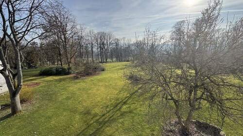 Blick aus dem Studio - 