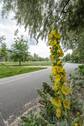 Park am Gleisdreieck - 
