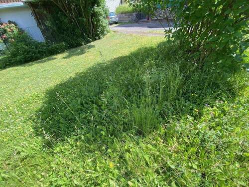 Stellfläche Wiese - 