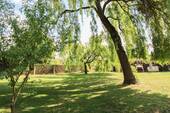 Schattenspender - 