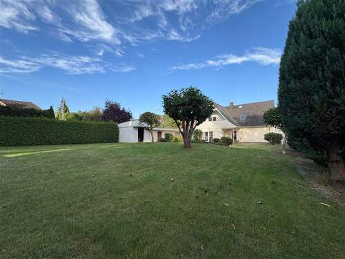 viele Möglichkeiten - 